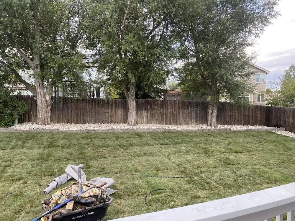 Top-rated yard maintenance in Aurora, CO by True Vine Landscape Pros