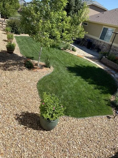Affordable yard maintenance for homes in Aurora, CO by True Vine Landscape Pros