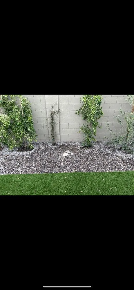 Top-rated landscaping services for outdoor upgrades in Queen Creek, AZ by True Vision Landscapes