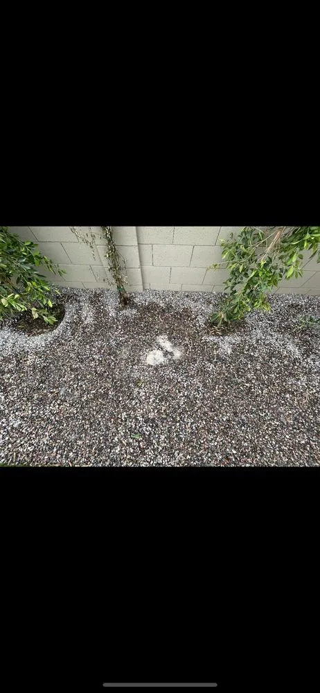 Affordable landscape design experts serving Queen Creek, AZ - True Vision Landscapes