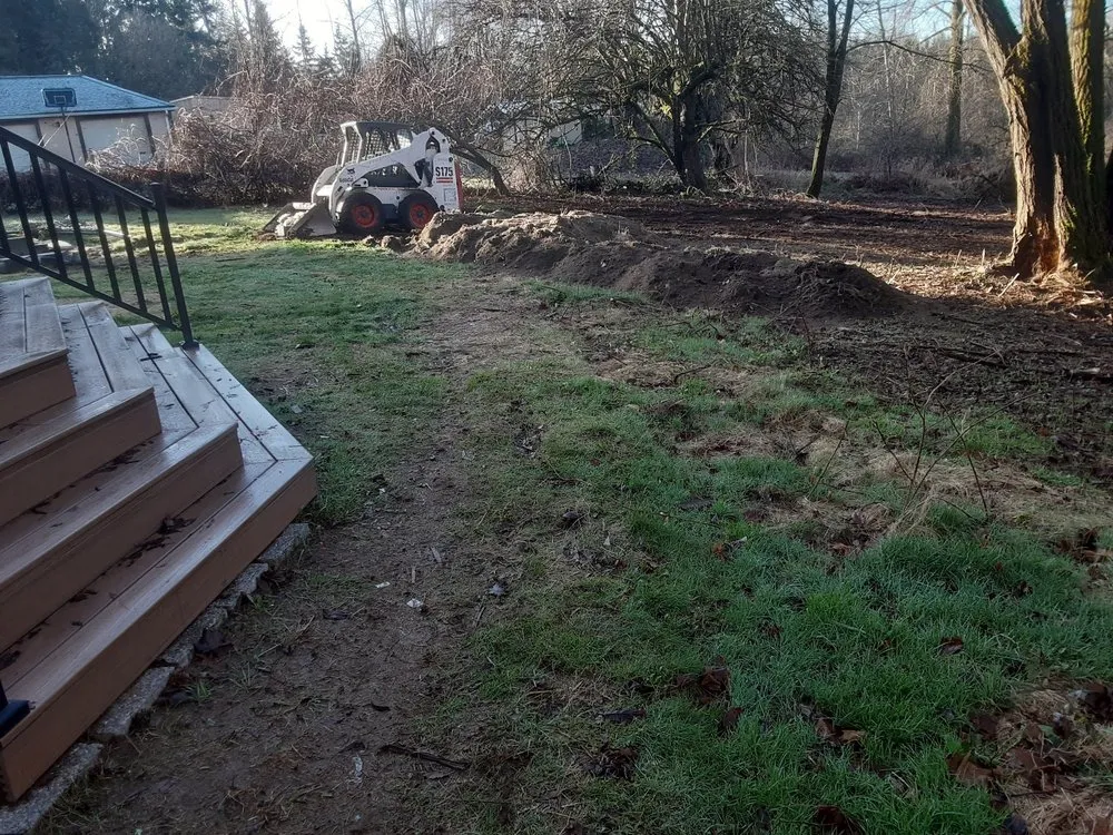 Reliable yard cleanup service in Olympia, WA - True Vision Landscaping