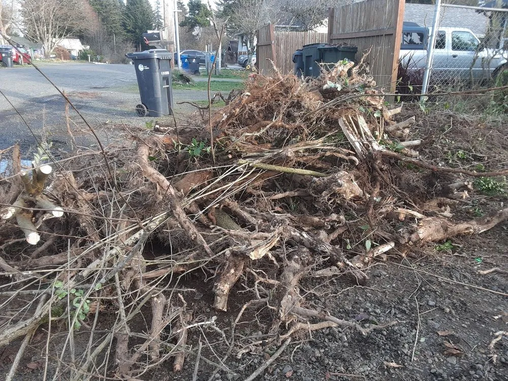 Top-rated yard maintenance in Olympia, WA - True Vision Landscaping