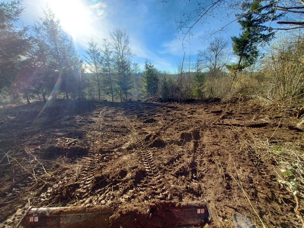 Trusted residential landscaping in Lacey, WA - True Worx