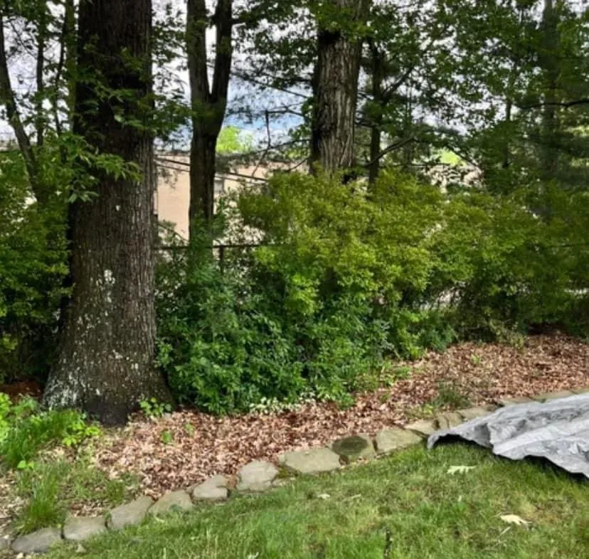 Local landscaping services for homes in Kansas City, MO by Trueblue Landscape