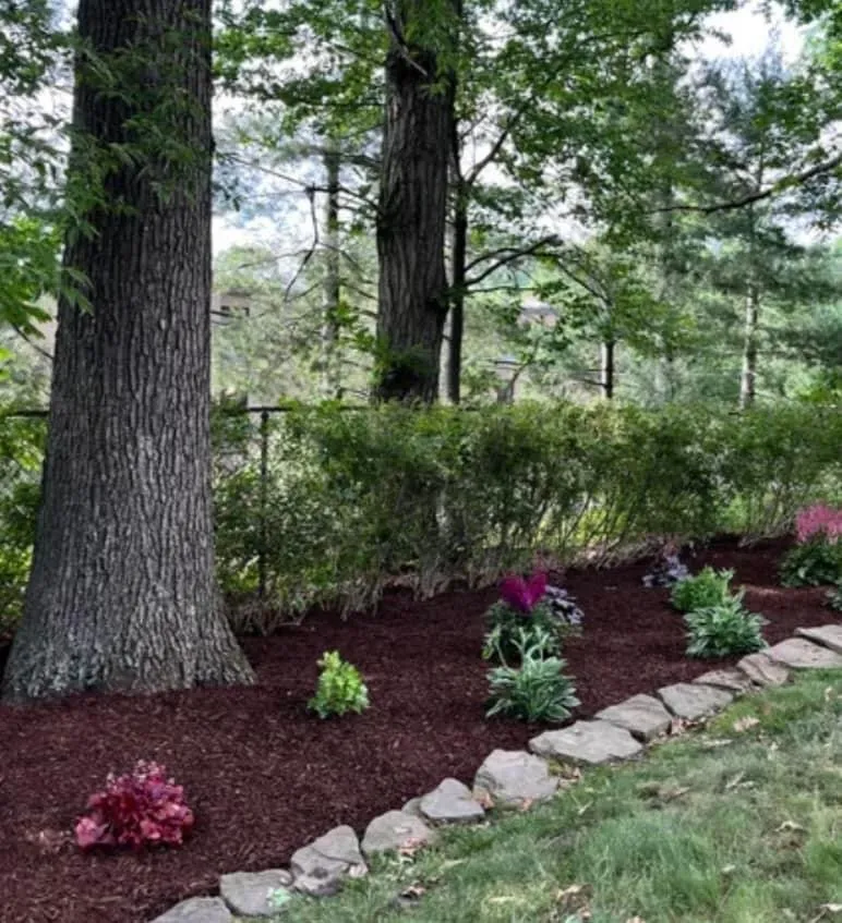 Expert landscaping services in Kansas City, MO by Trueblue Landscape