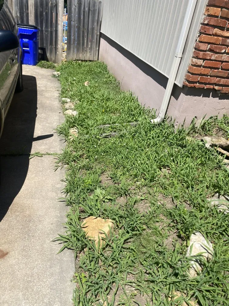 Affordable landscaping services experts serving Kansas City, MO - Trueblue Landscape