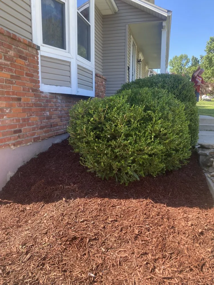 Custom landscape installation experts serving Kansas City, MO - Trueblue Landscape