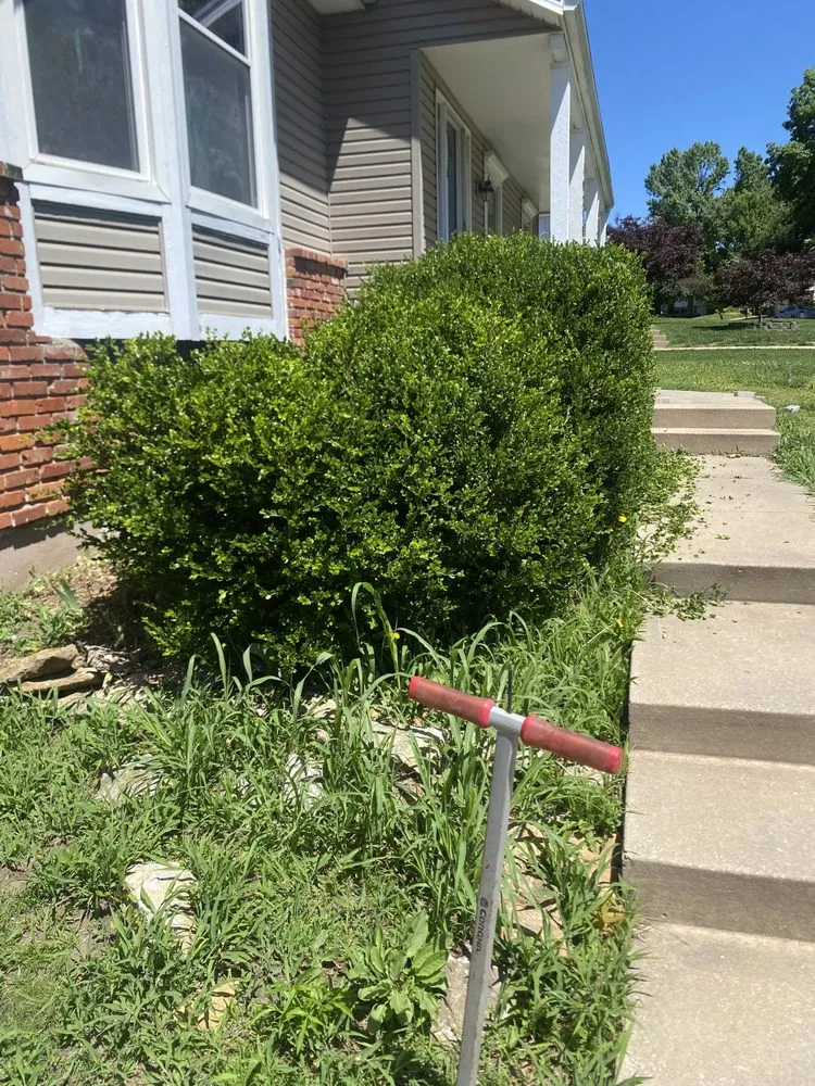 Professional landscaping services in Kansas City, MO - Trueblue Landscape