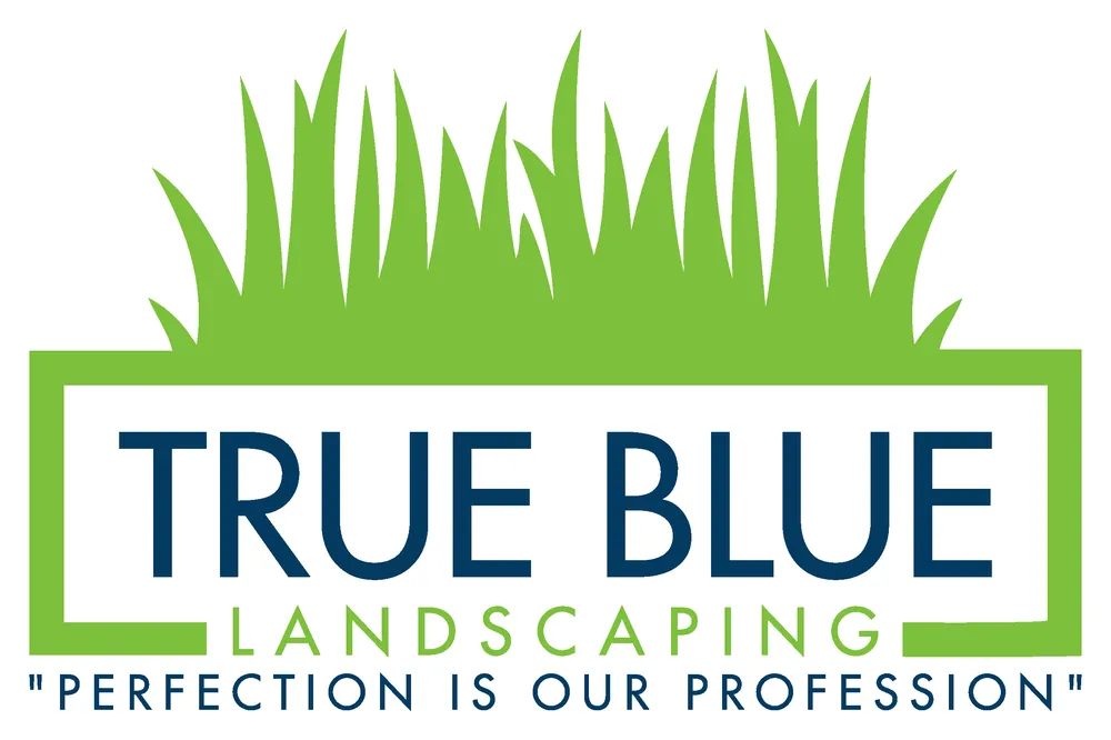 Custom garden landscaping for homes in Modesto, CA by TrueBlue Landscaping
