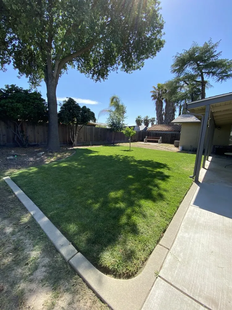 Local yard maintenance near you across Modesto, CA - TrueBlue Landscaping