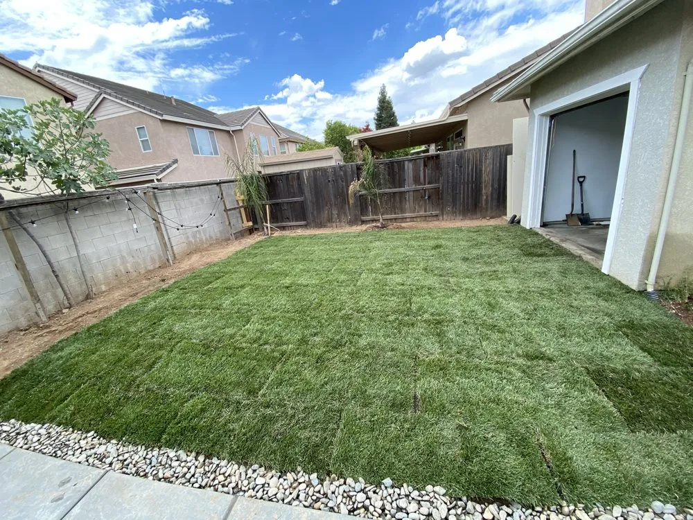 Affordable outdoor landscaping for beautiful yards in Modesto, CA by TrueBlue Landscaping