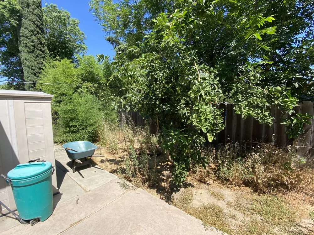 Reliable landscaping services experts serving Modesto, CA - TrueBlue Landscaping