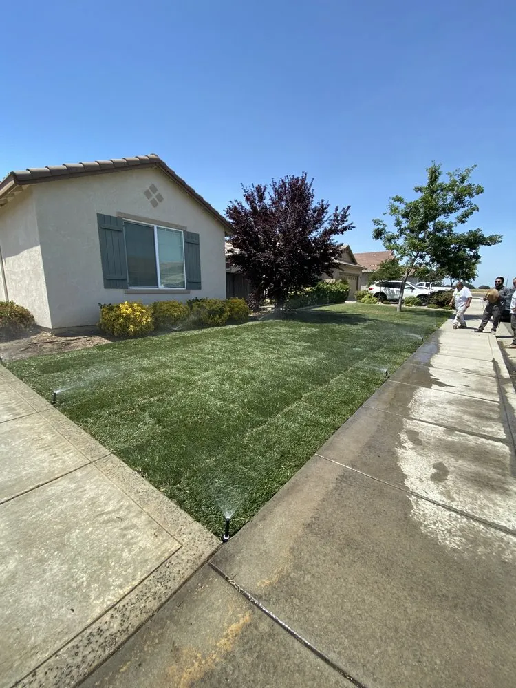 Professional lawn mowing service near you in Modesto, CA by TrueBlue Landscaping