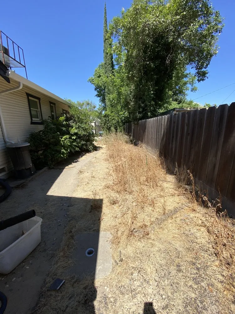 Local yard cleanup service near you across Modesto, CA - TrueBlue Landscaping