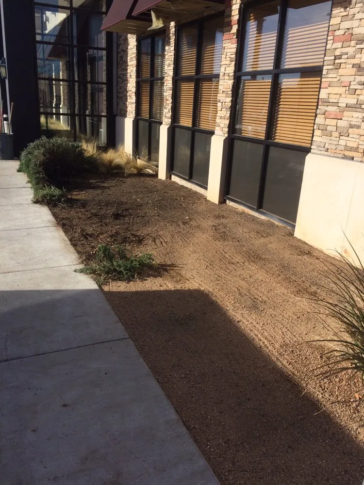 Top-rated yard maintenance experts serving Albuquerque, NM - TrueCare Landscaping