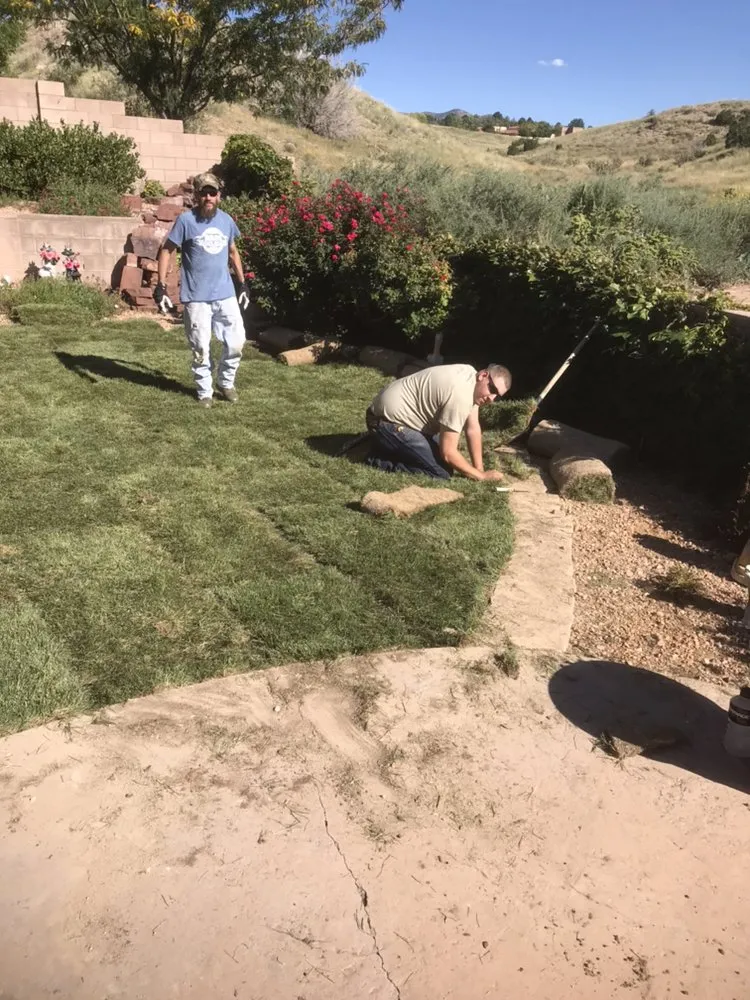 Affordable yard maintenance for homes across Albuquerque, NM - TrueCare Landscaping