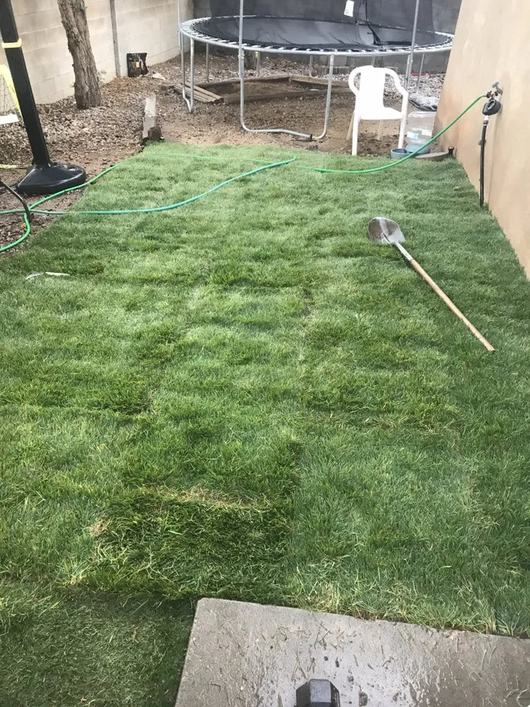 Custom lawn care service in Albuquerque, NM - TrueCare Landscaping