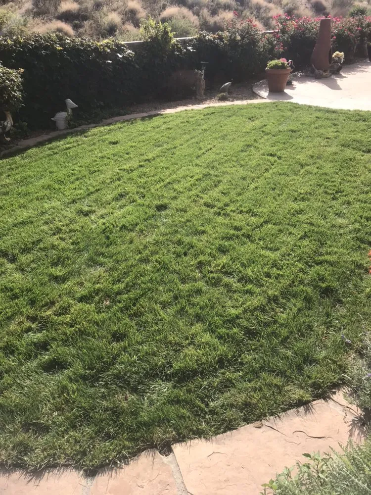 Top-rated garden landscaping near you in Albuquerque, NM by TrueCare Landscaping