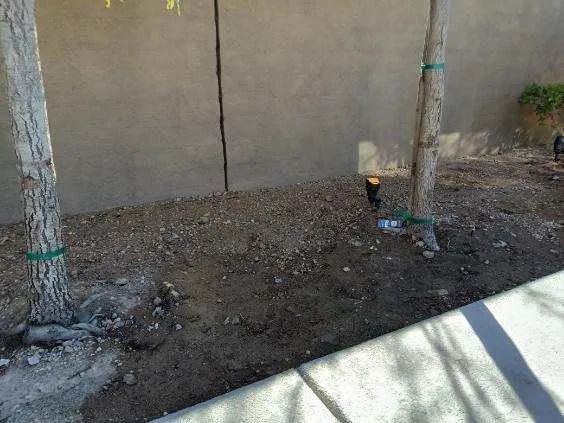 Expert lawn mowing service for beautiful yards in North Las Vegas, NV by TrueCare