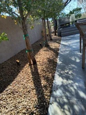 Trusted lawn mowing service for residential properties in North Las Vegas, NV by TrueCare