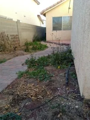 Expert landscape design with custom design across North Las Vegas, NV - TrueCare