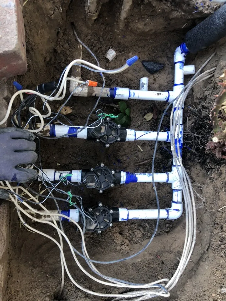 Trusted landscaping services for homes across North Las Vegas, NV - TrueCare