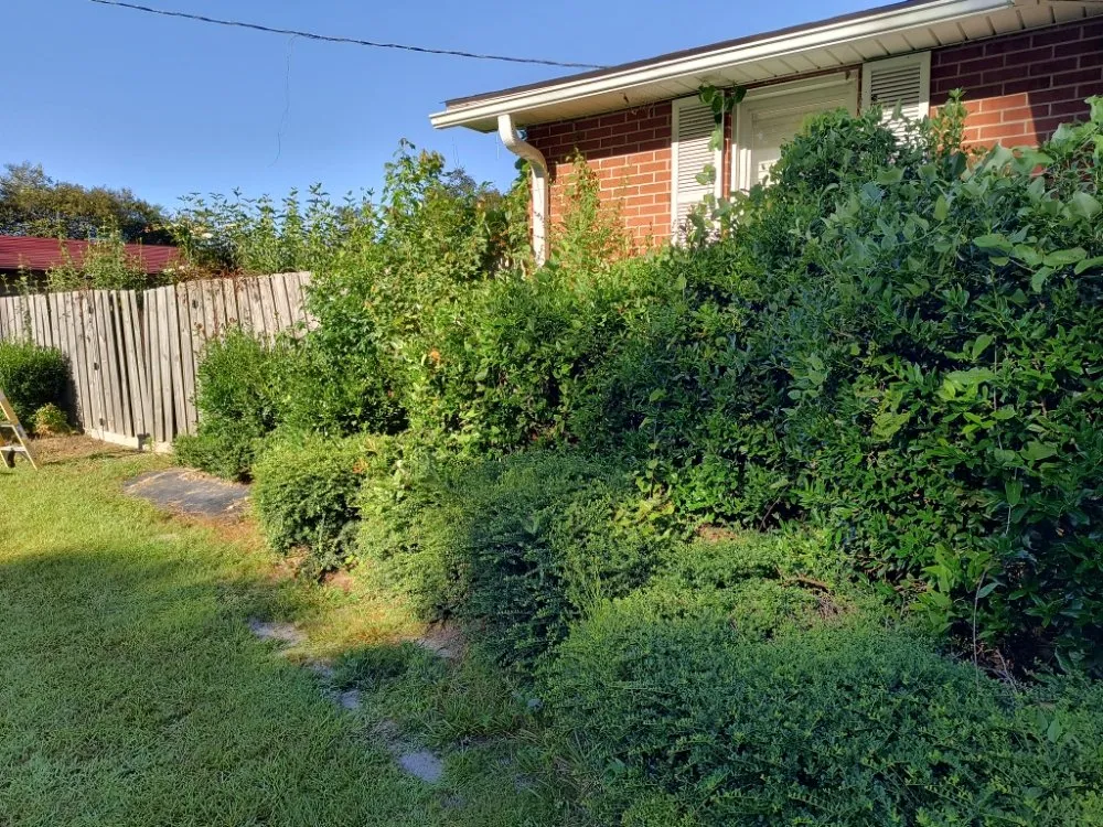 Affordable yard cleanup service experts serving Pink Hill, NC - Truecoastal Landscaping