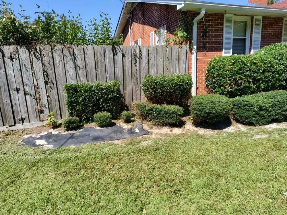 Custom landscape installation in Pink Hill, NC by Truecoastal Landscaping