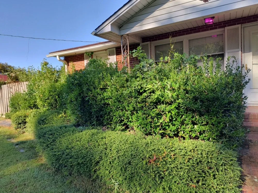 Affordable lawn care service for residential properties in Pink Hill, NC by Truecoastal Landscaping