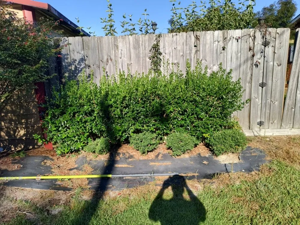 Professional garden landscaping in Pink Hill, NC - Truecoastal Landscaping