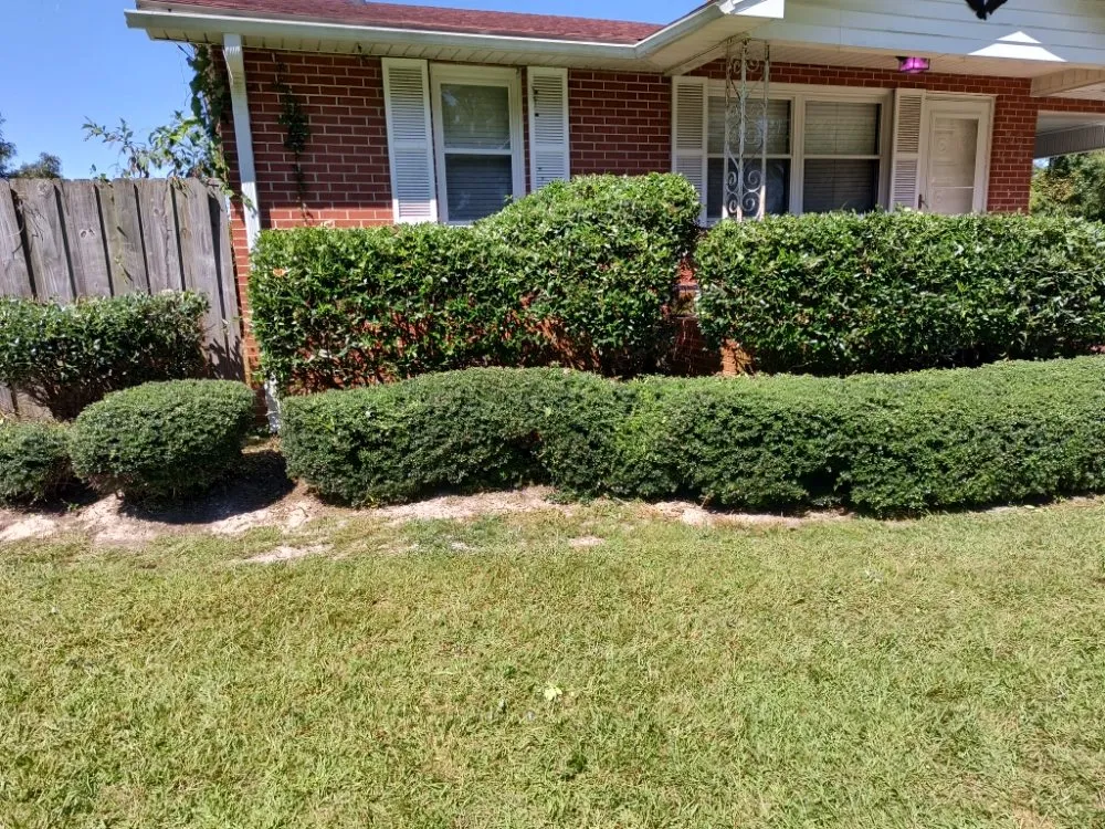 Reliable lawn mowing service for beautiful yards across Pink Hill, NC - Truecoastal Landscaping