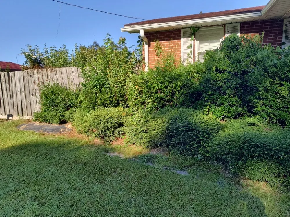 Reliable landscape installation for beautiful yards across Pink Hill, NC - Truecoastal Landscaping