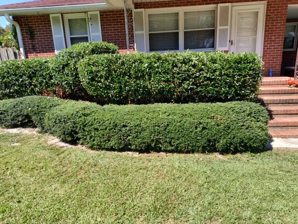 Reliable landscape design experts serving Pink Hill, NC - Truecoastal Landscaping