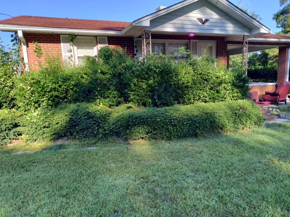 Reliable landscape design in Pink Hill, NC by Truecoastal Landscaping