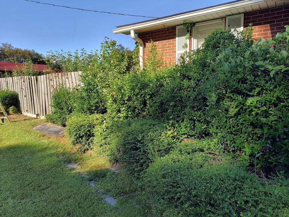 Local yard cleanup service in Pink Hill, NC by Truecoastal Landscaping