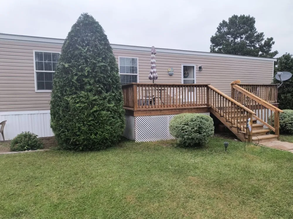 Trusted yard cleanup service in Pink Hill, NC by Truecoastal Landscaping