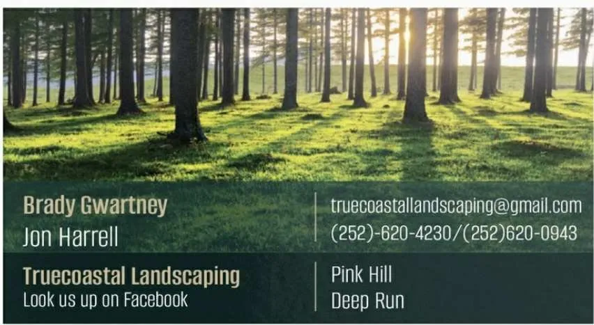 Expert yard cleanup service for outdoor upgrades in Pink Hill, NC by Truecoastal Landscaping