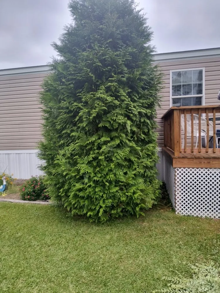Local garden landscaping for homes in Pink Hill, NC by Truecoastal Landscaping