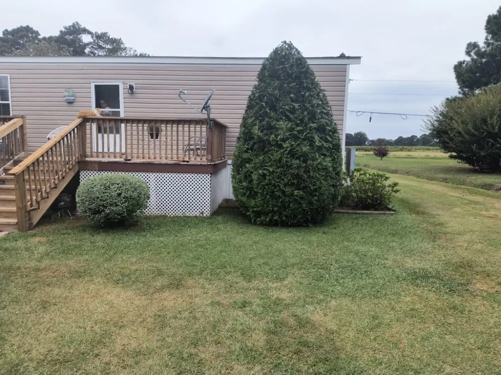 Expert garden landscaping for outdoor upgrades in Pink Hill, NC by Truecoastal Landscaping