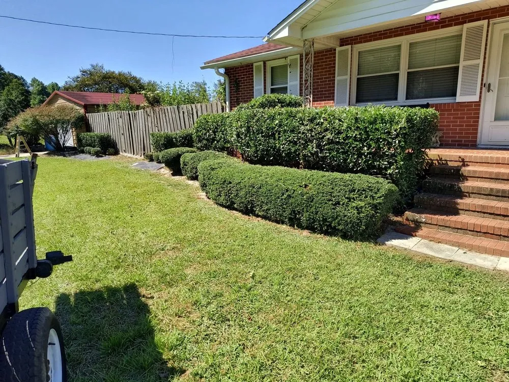 Professional yard cleanup service in Pink Hill, NC by Truecoastal Landscaping
