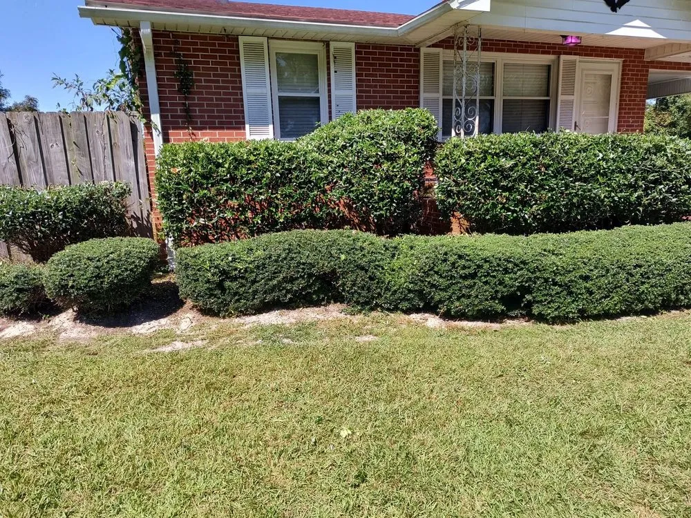 Expert landscape installation near you in Pink Hill, NC by Truecoastal Landscaping