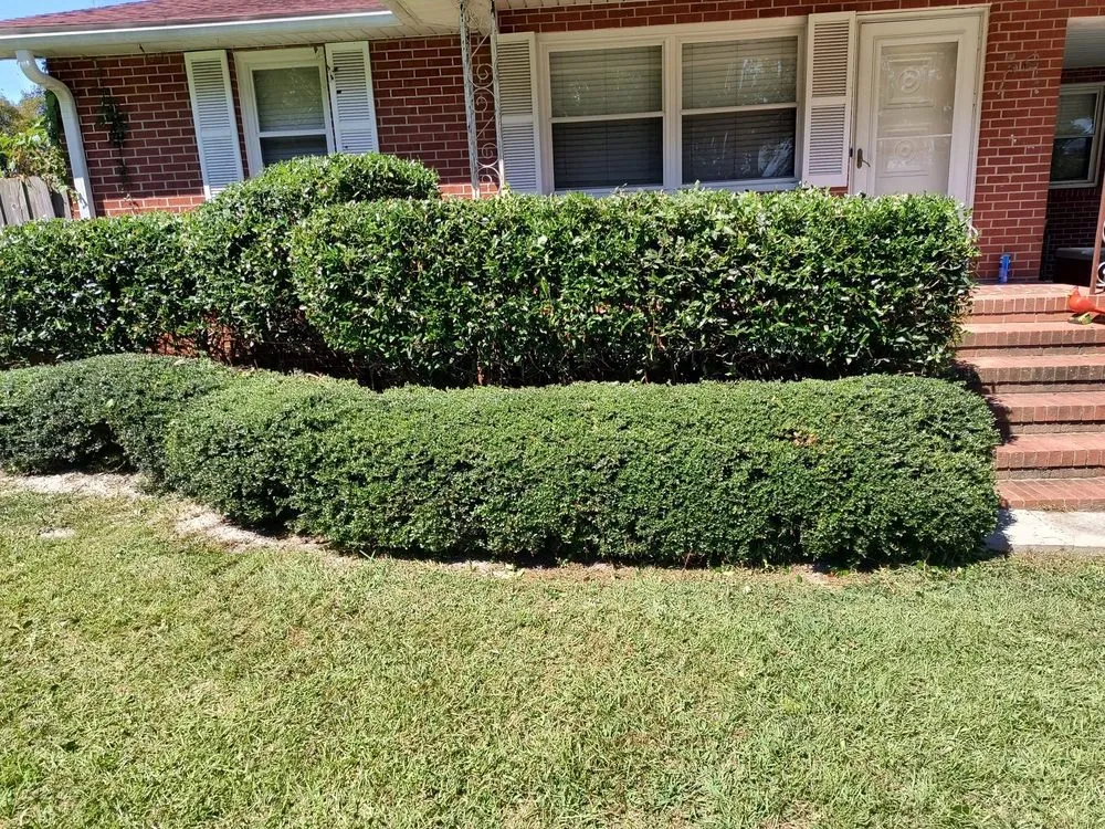 Affordable landscape installation for outdoor upgrades in Pink Hill, NC by Truecoastal Landscaping