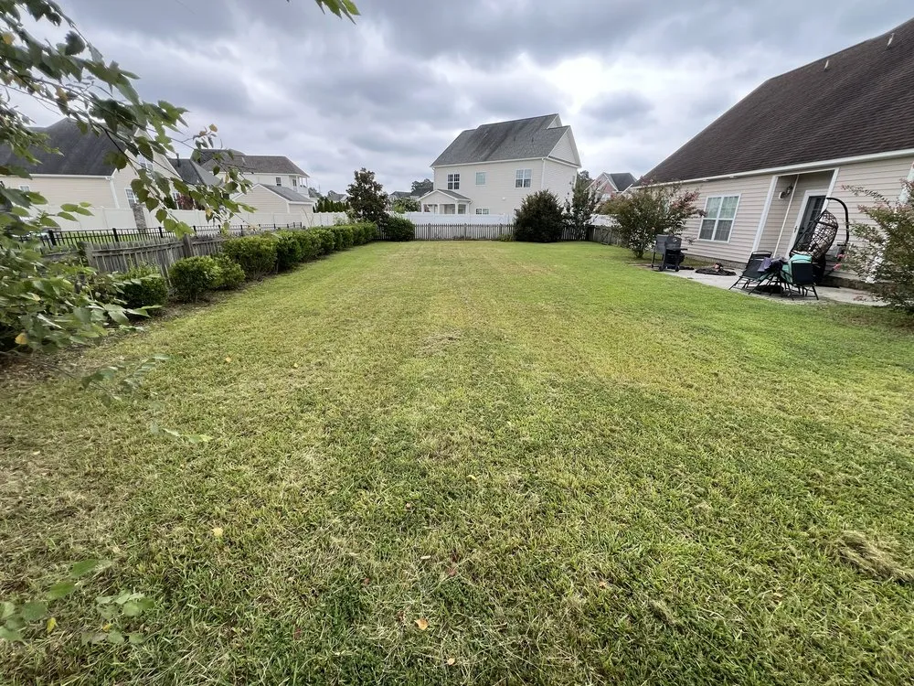 Trusted yard maintenance in Farmville, NC by Truecut Landscaping