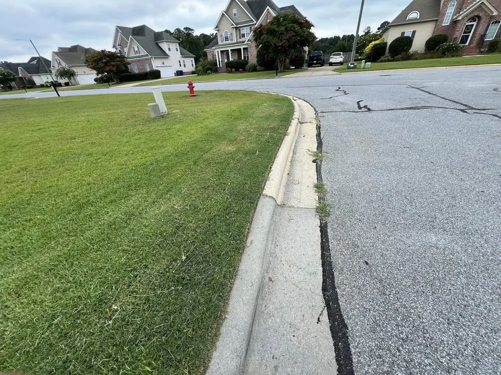 Reliable yard cleanup service for homes in Farmville, NC by Truecut Landscaping