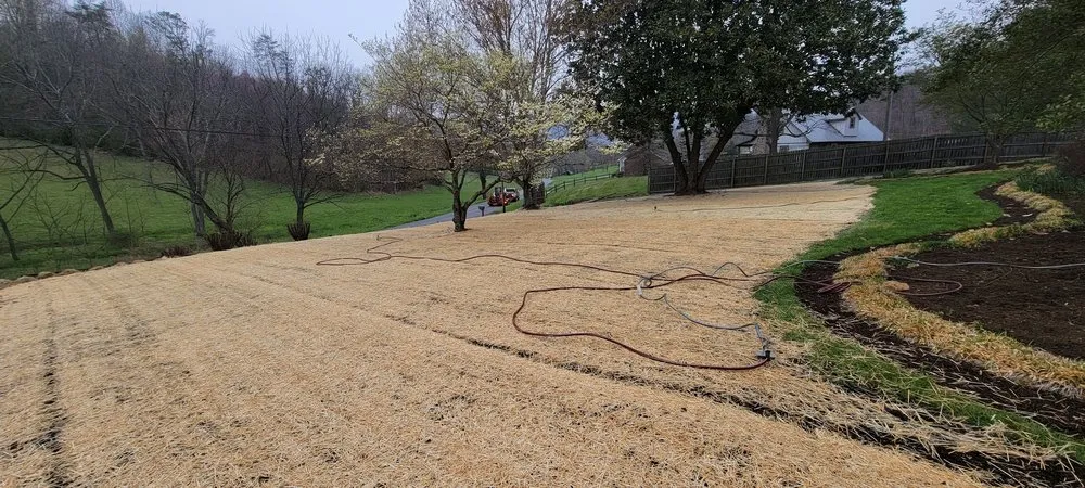 Reliable yard maintenance in Elizabethton, TN by TruEdge Lawn & Landscape