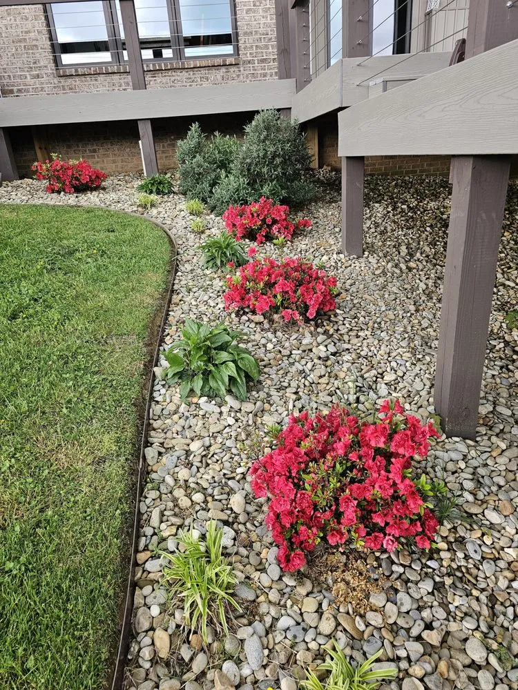 Trusted yard cleanup service in Elizabethton, TN by TruEdge Lawn & Landscape