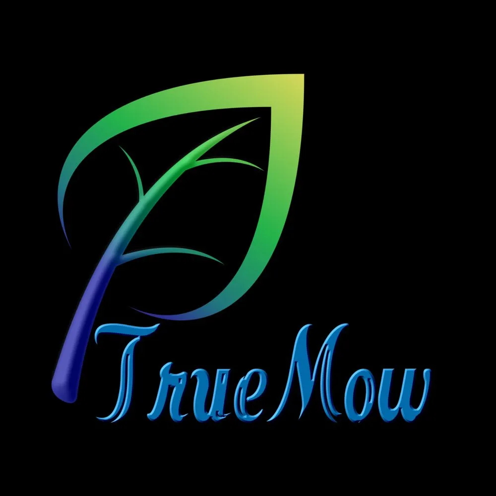 Local yard cleanup service with custom design across Edmond, OK - TrueMow