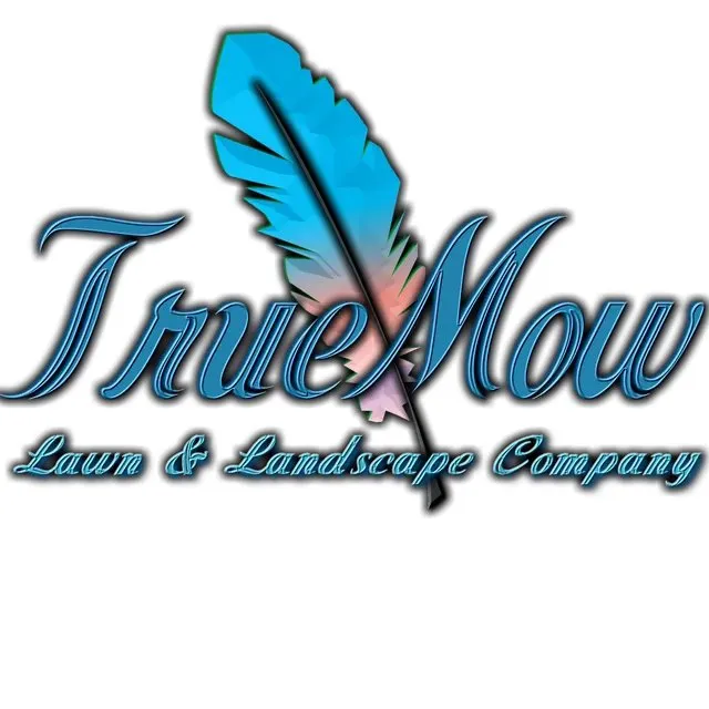 Professional yard cleanup service experts serving Edmond, OK - TrueMow