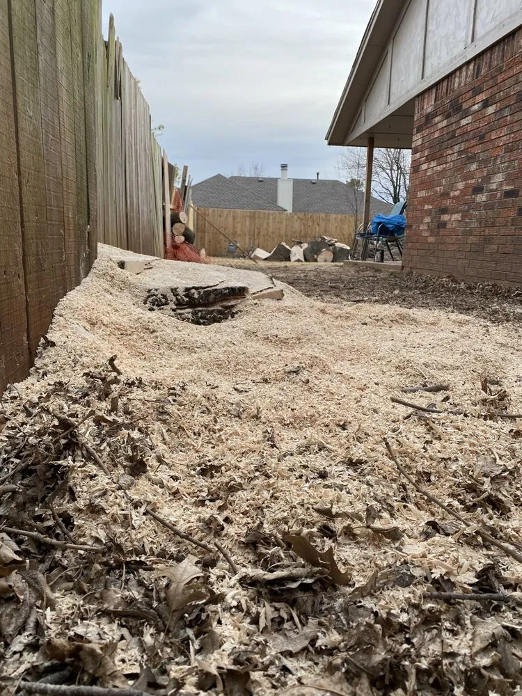 Local lawn care service experts serving Edmond, OK - TrueMow