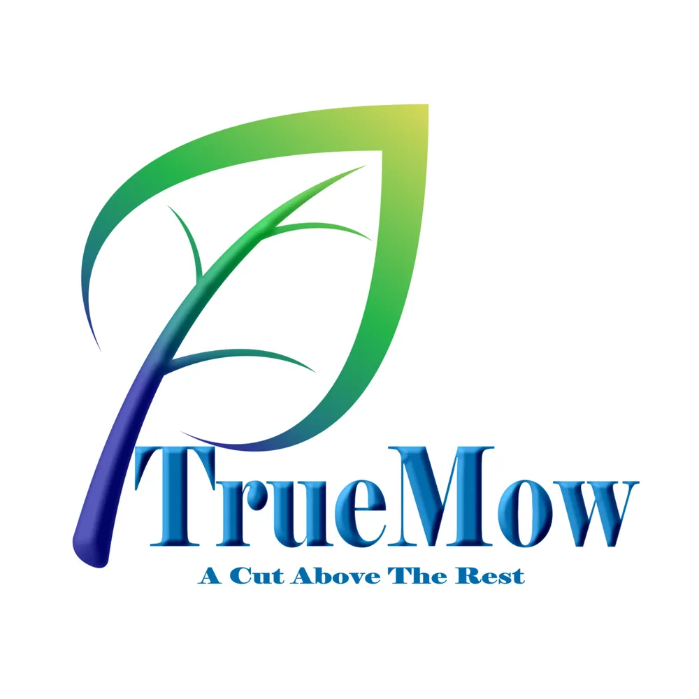 Expert yard cleanup service experts serving Edmond, OK - TrueMow